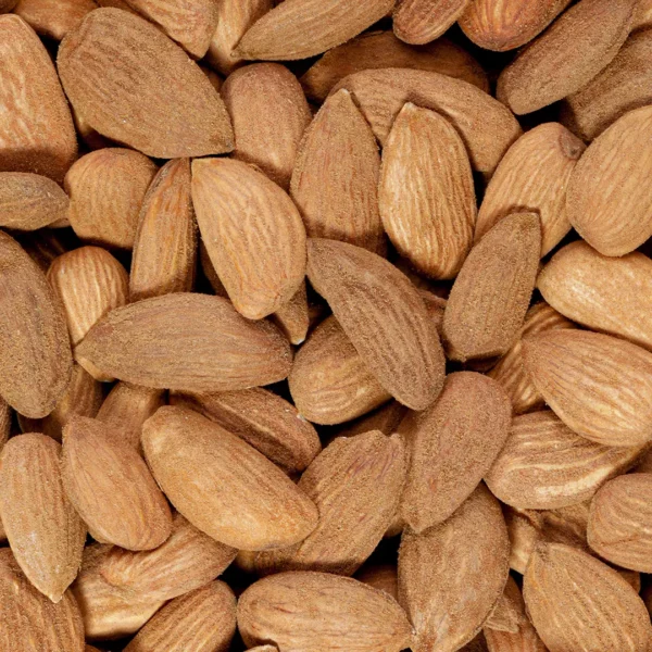 بادام درختی